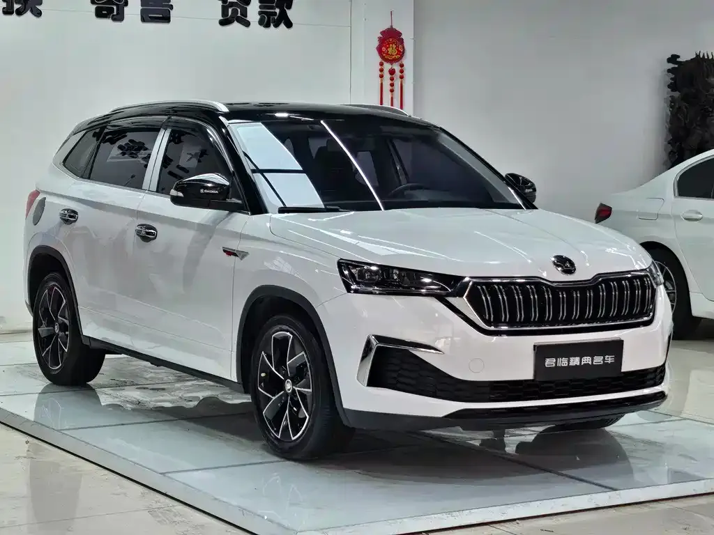 Skoda Kamiq 2023 из CN, фото 4