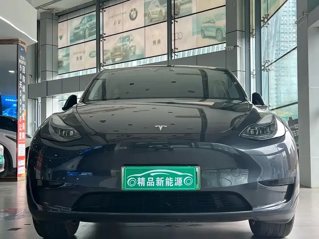Tesla Model Y 2024 из CN, фото 6