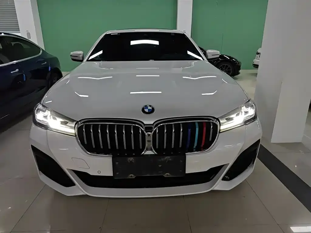 BMW 5 Series 2023 из CN, фото 6
