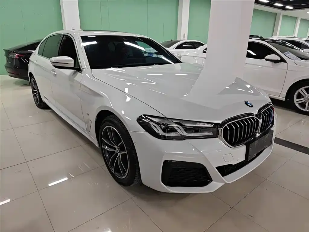 BMW 5 Series 2023 из CN, фото 4