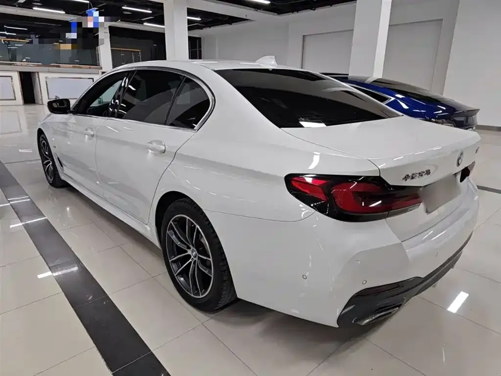 BMW 5 Series 2023 из CN, фото 9