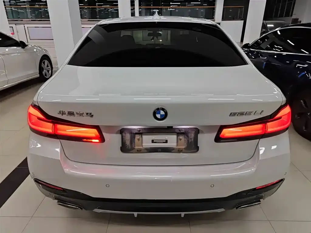 BMW 5 Series 2023 из CN, фото 8