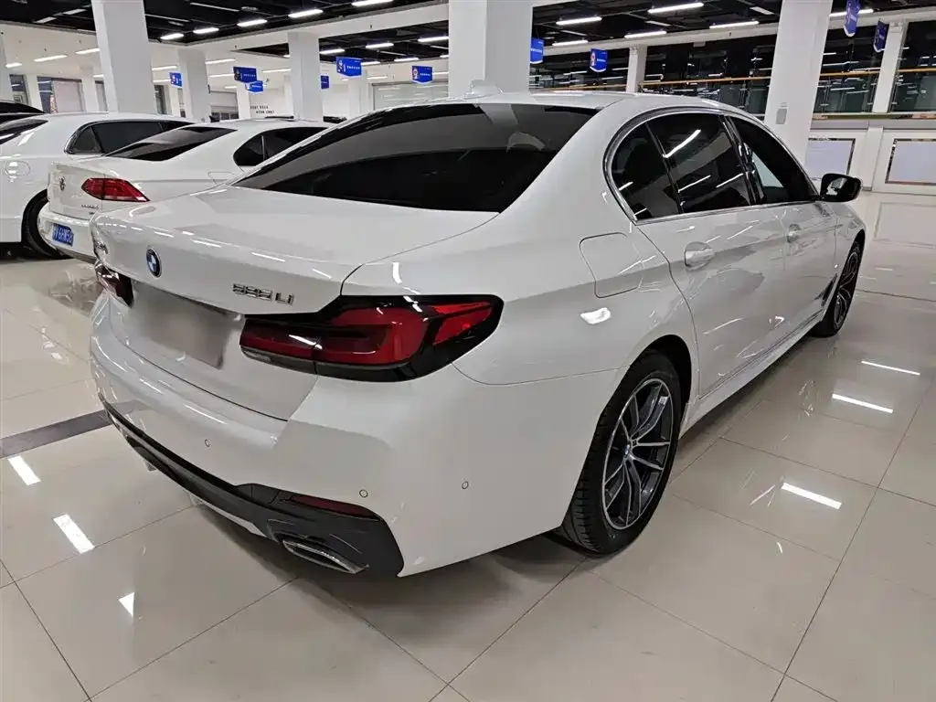 BMW 5 Series 2023 из CN, фото 5
