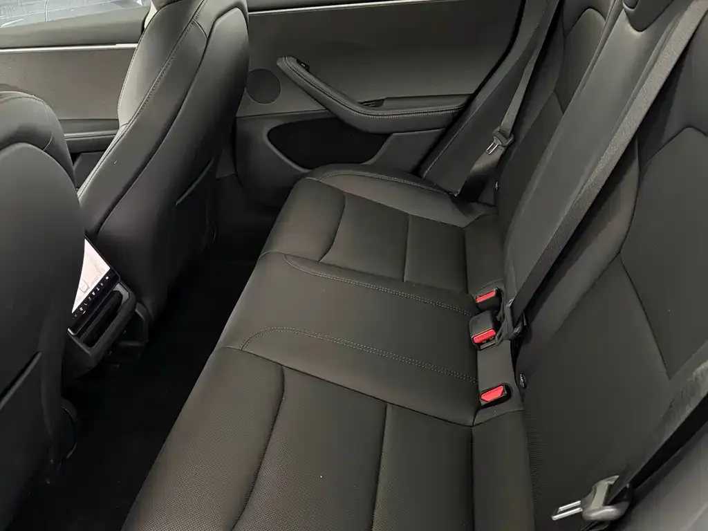 Tesla Model 3 2025 из CN, фото 7