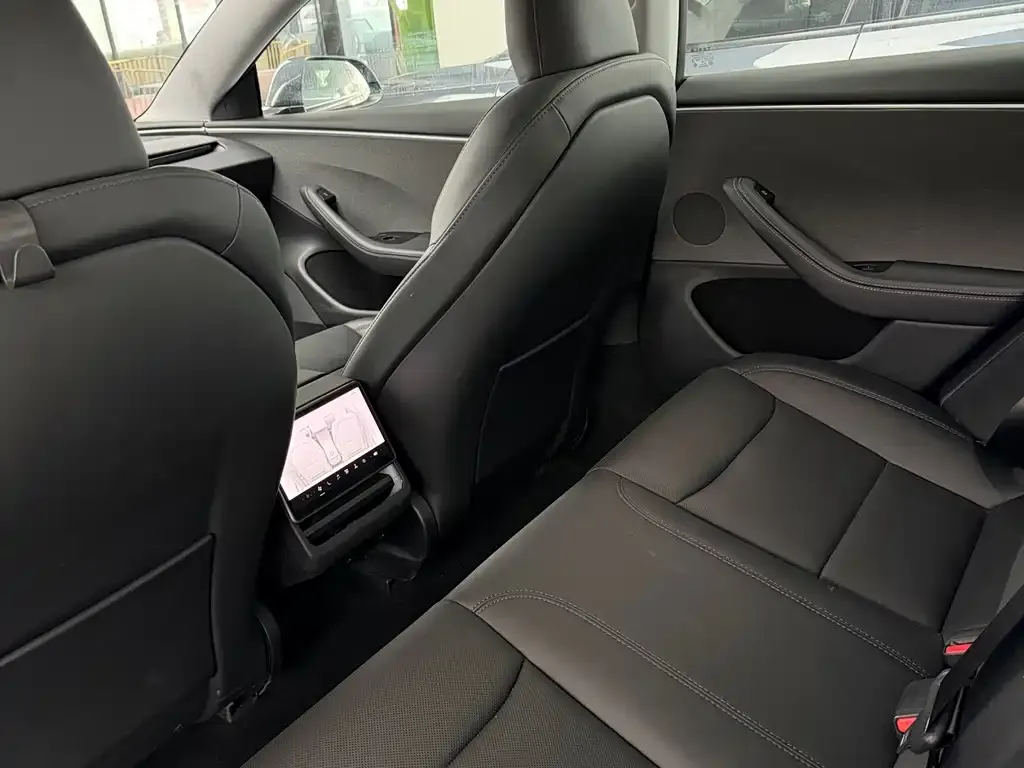 Tesla Model 3 2025 из CN, фото 9