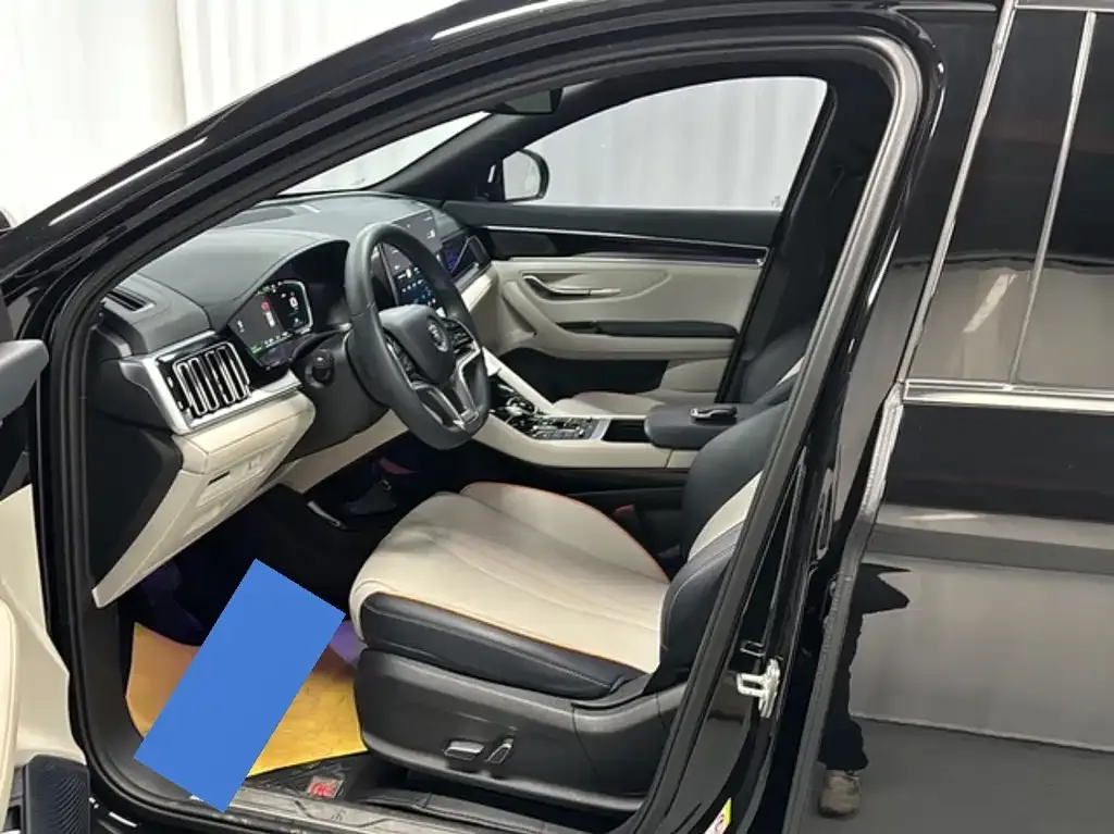 BYD PLUS New Energy — фото 10