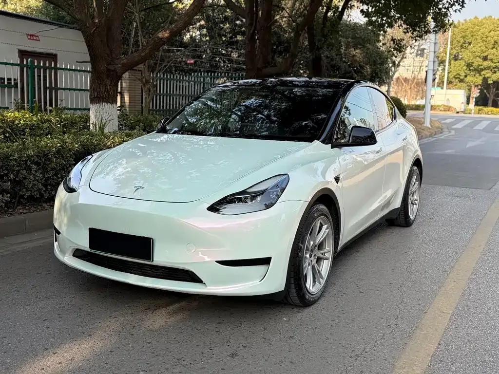 Tesla Model Y 2023 из CN, фото 1