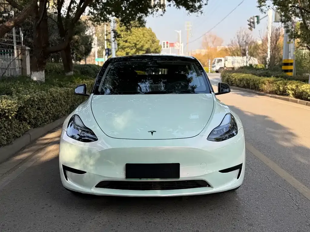 Tesla Model Y 2023 из CN, фото 9