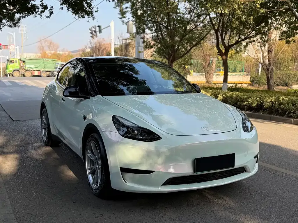 Tesla Model Y 2023 из CN, фото 8