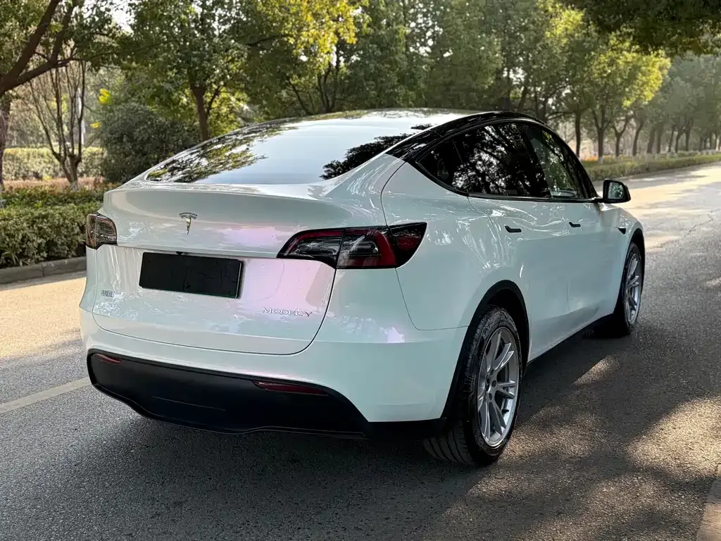 Tesla Model Y 2023 из CN, фото 5