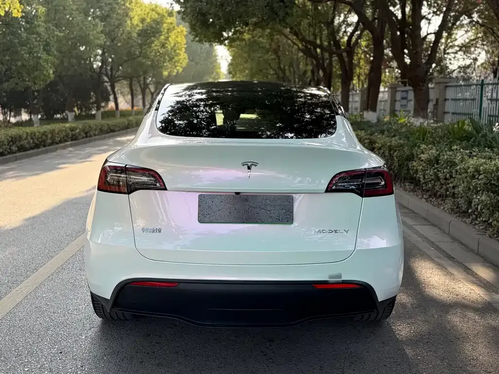 Tesla Model Y 2023 из CN, фото 7