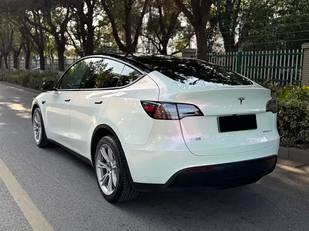 Tesla Model Y 2023 из CN, фото 6