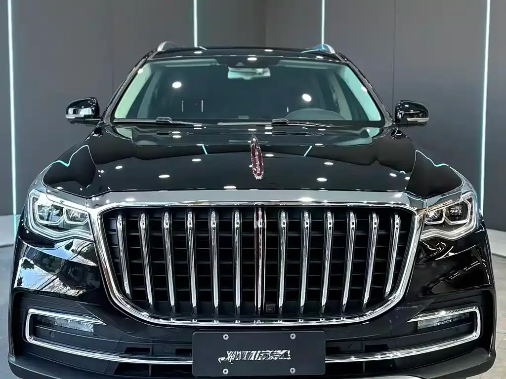 Hongqi HS7 2025 из CN, фото 8