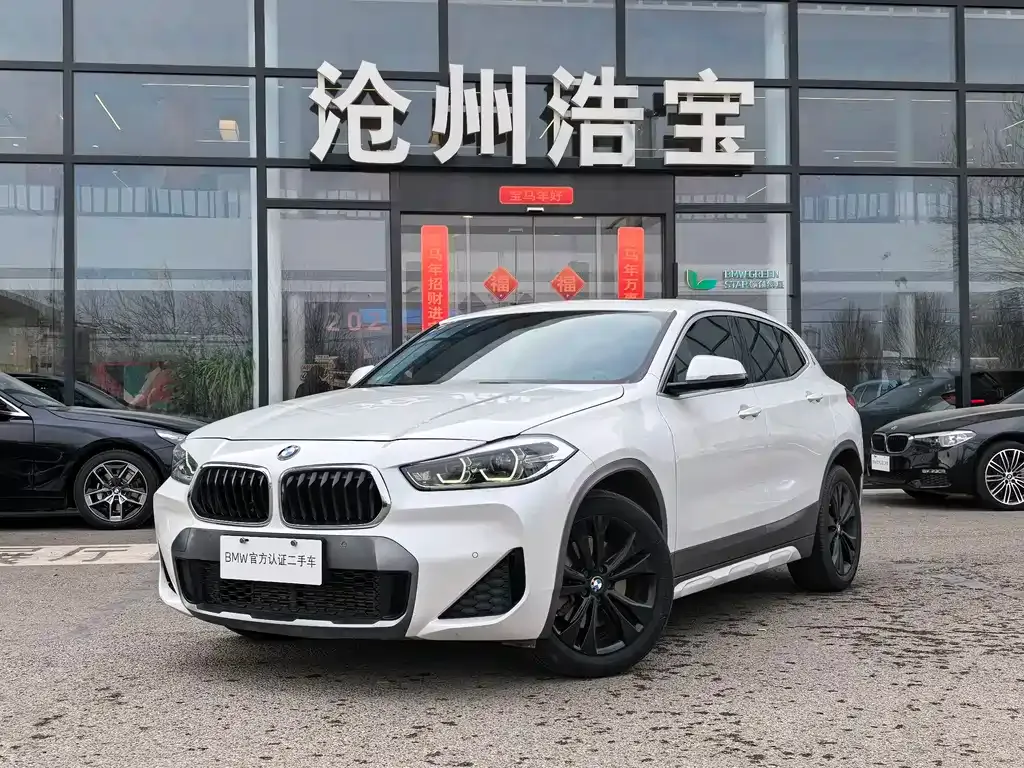 BMW X2 — фото 1