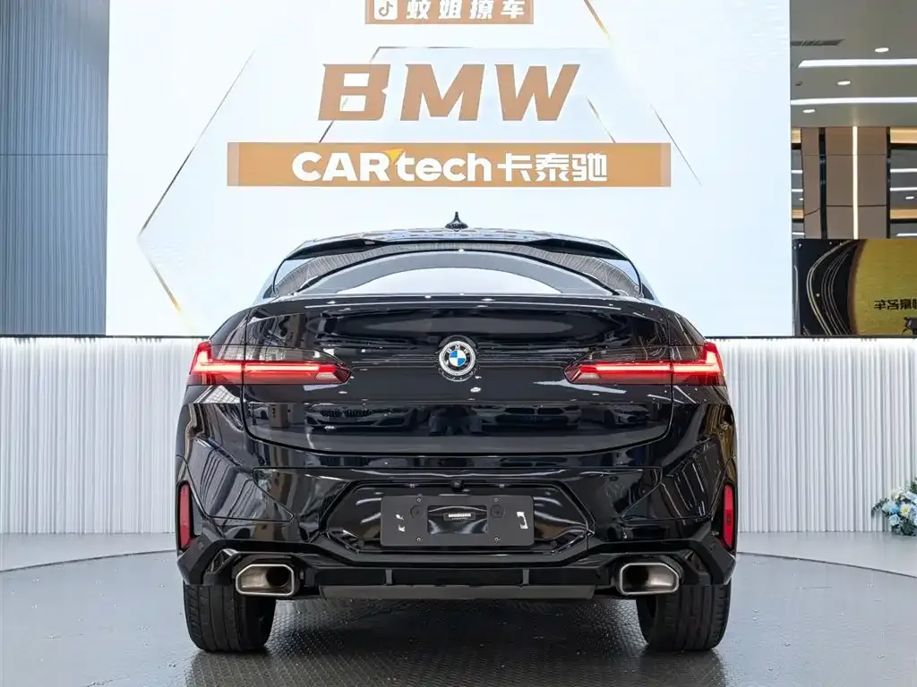 BMW X4 2023 из CN, фото 6