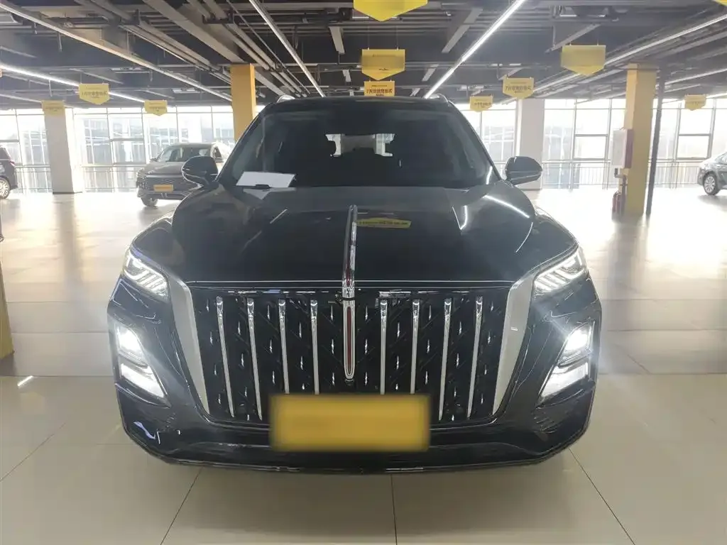 Hongqi HS5 2023 из CN, фото 4