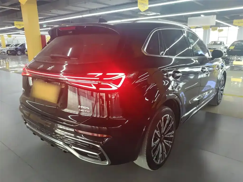 Hongqi HS5 2023 из CN, фото 6