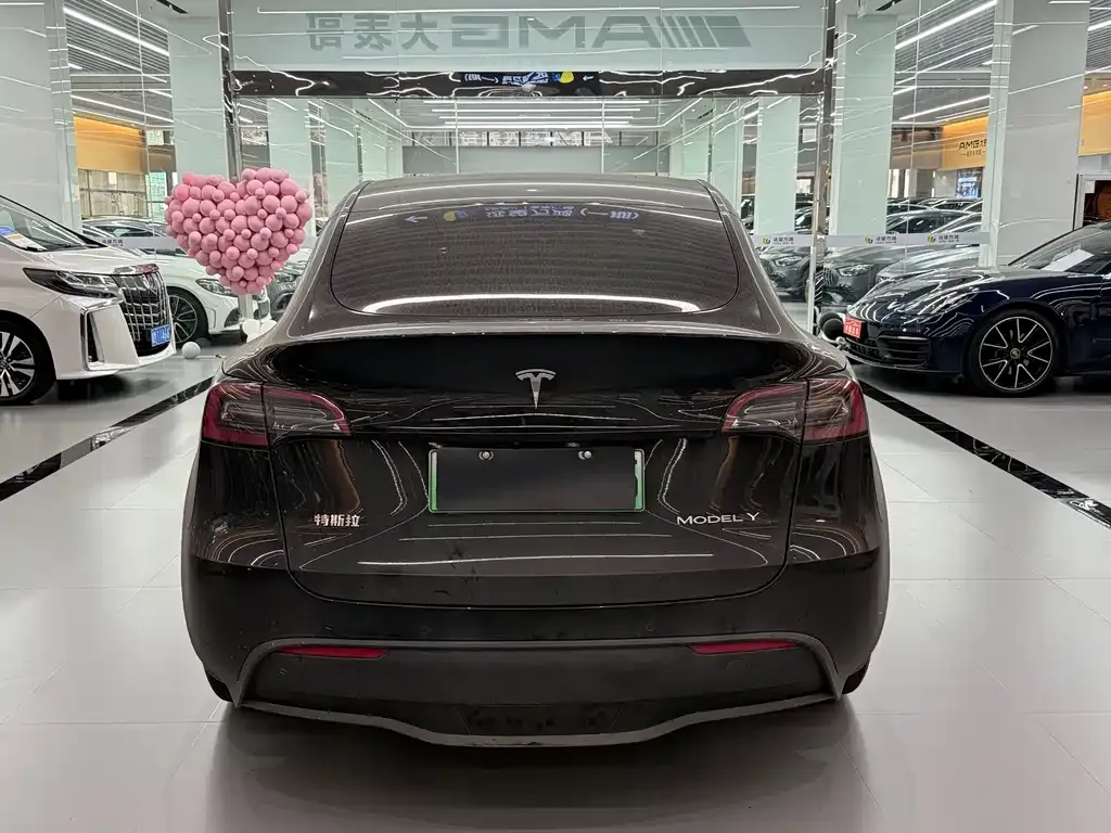 Tesla Model Y 2023 из CN, фото 8