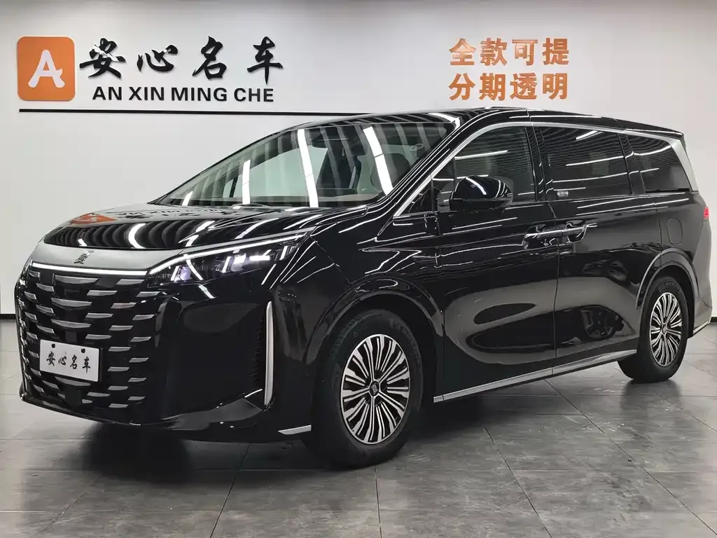 BYD Xia 2025 из CN, фото 1