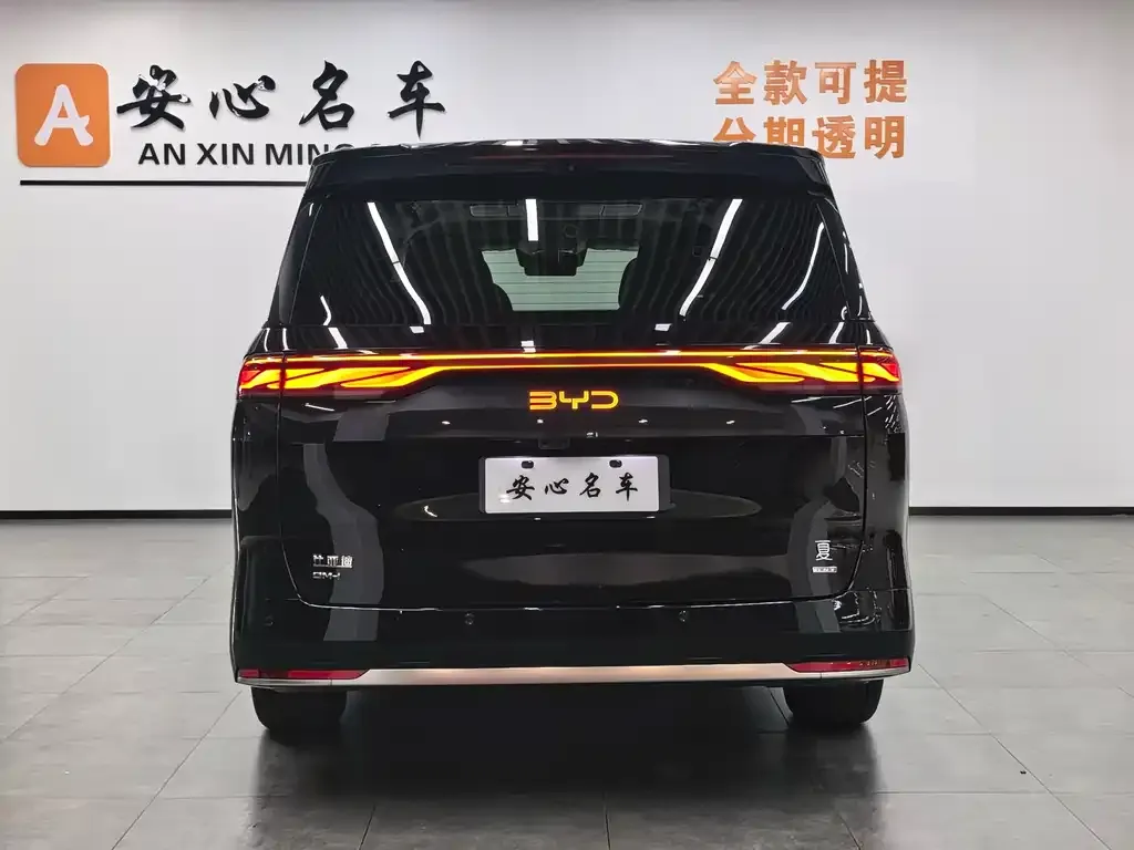 BYD Xia 2025 из CN, фото 5