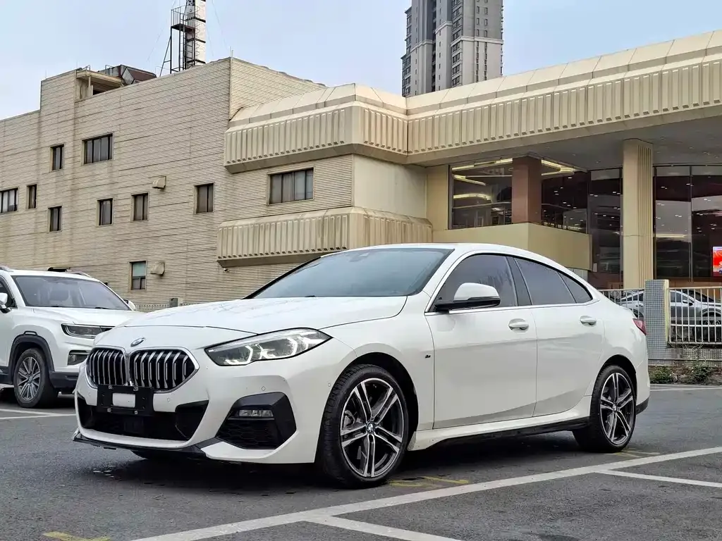 BMW 2 Series (Import) — фото 1