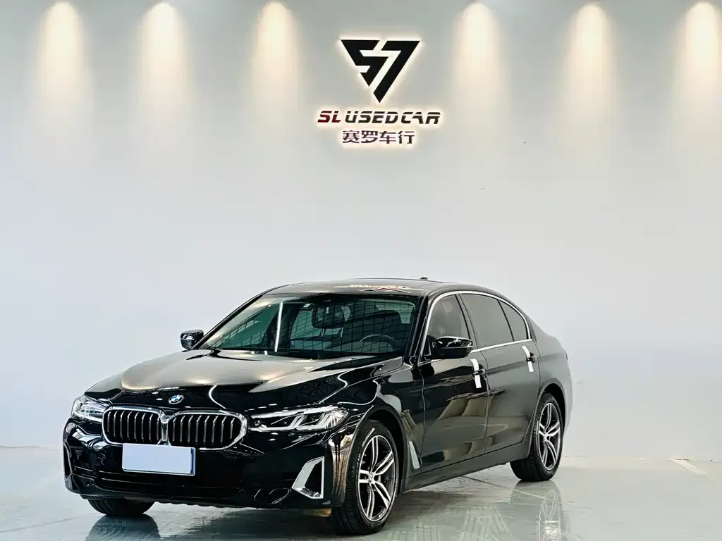 BMW 5 Series 2021 из CN, фото 1