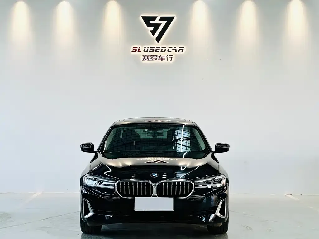 BMW 5 Series 2021 из CN, фото 4