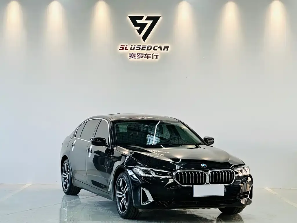 BMW 5 Series 2021 из CN, фото 5