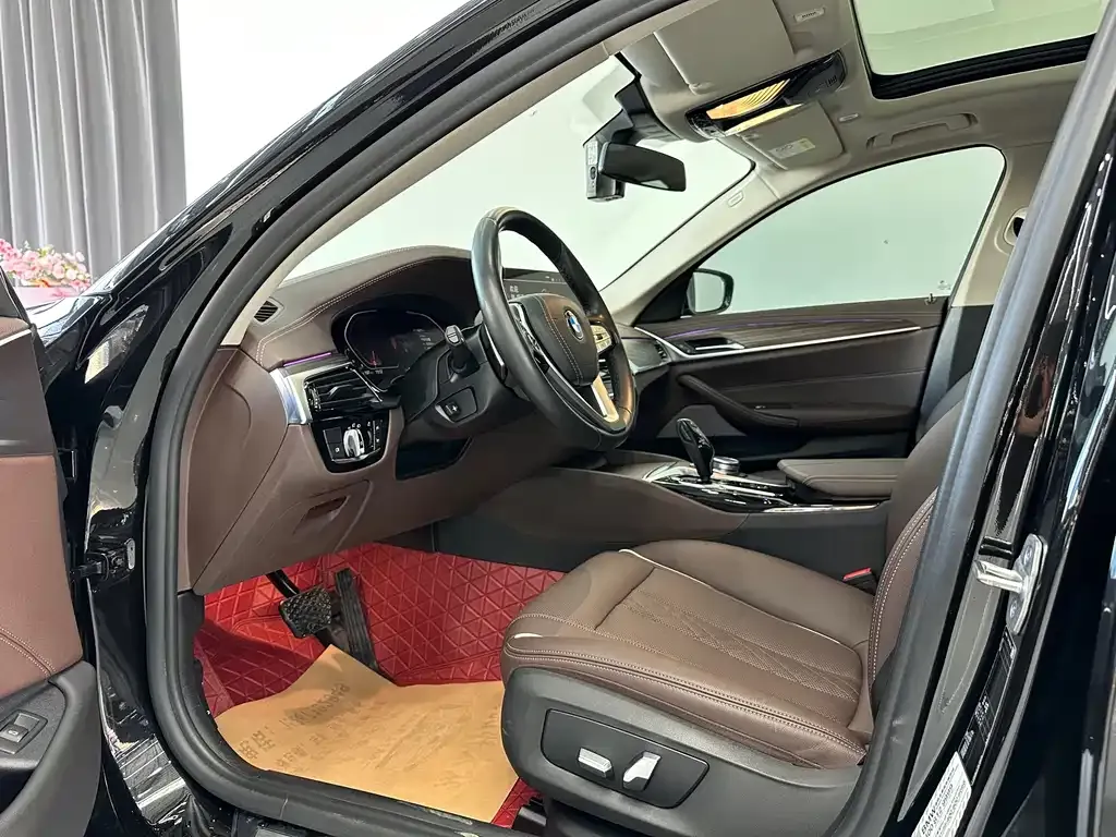 BMW 5 Series 2021 из CN, фото 9