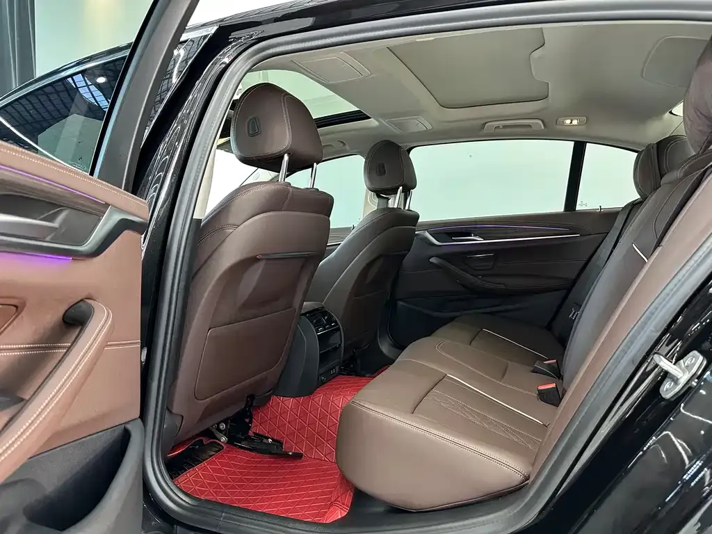 BMW 5 Series 2021 из CN, фото 8