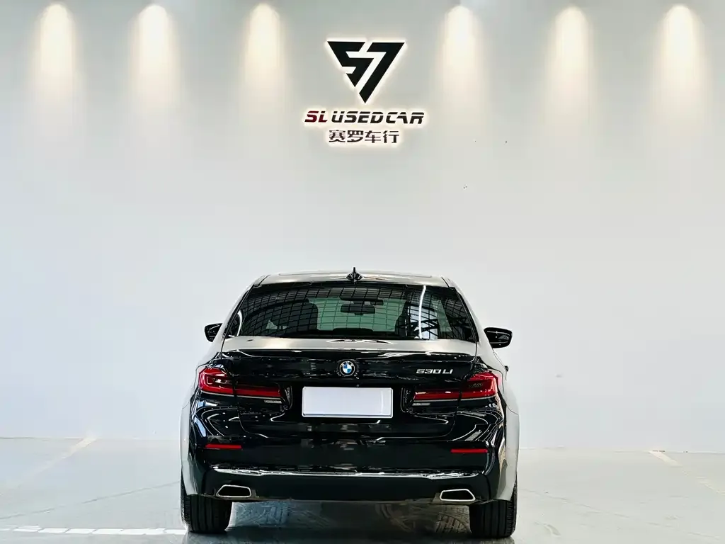 BMW 5 Series 2021 из CN, фото 6