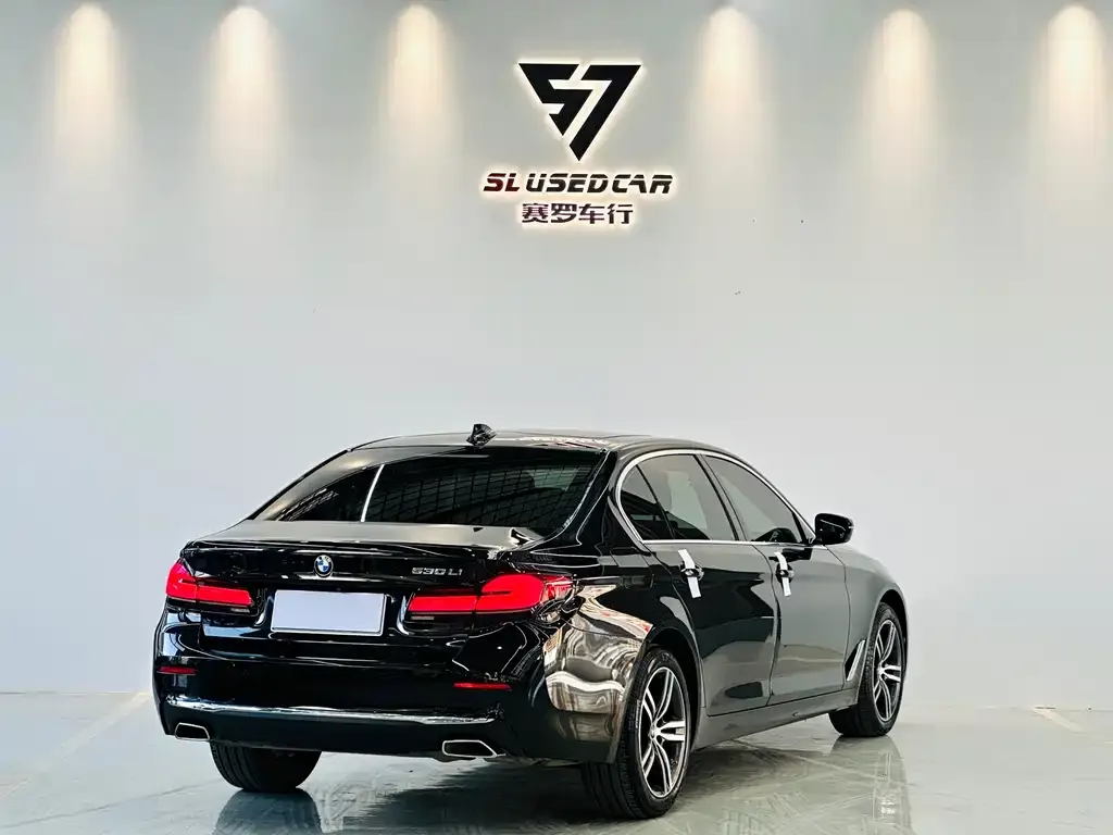 BMW 5 Series 2021 из CN, фото 3