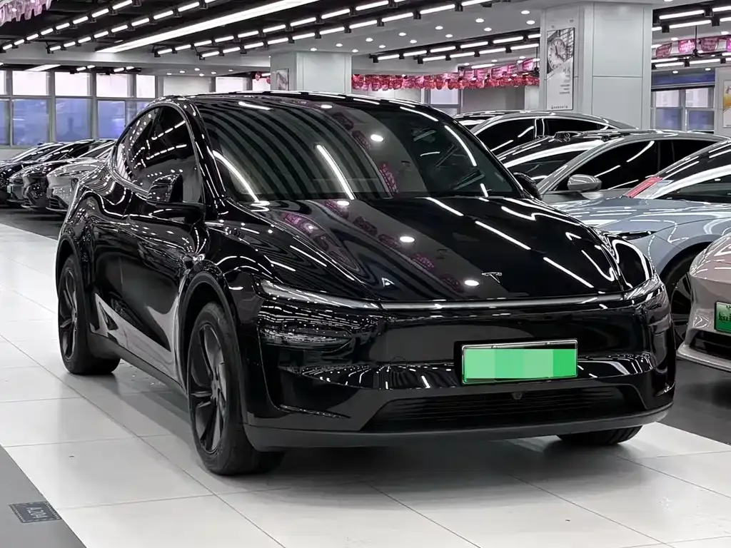 Tesla Model Y — фото 3