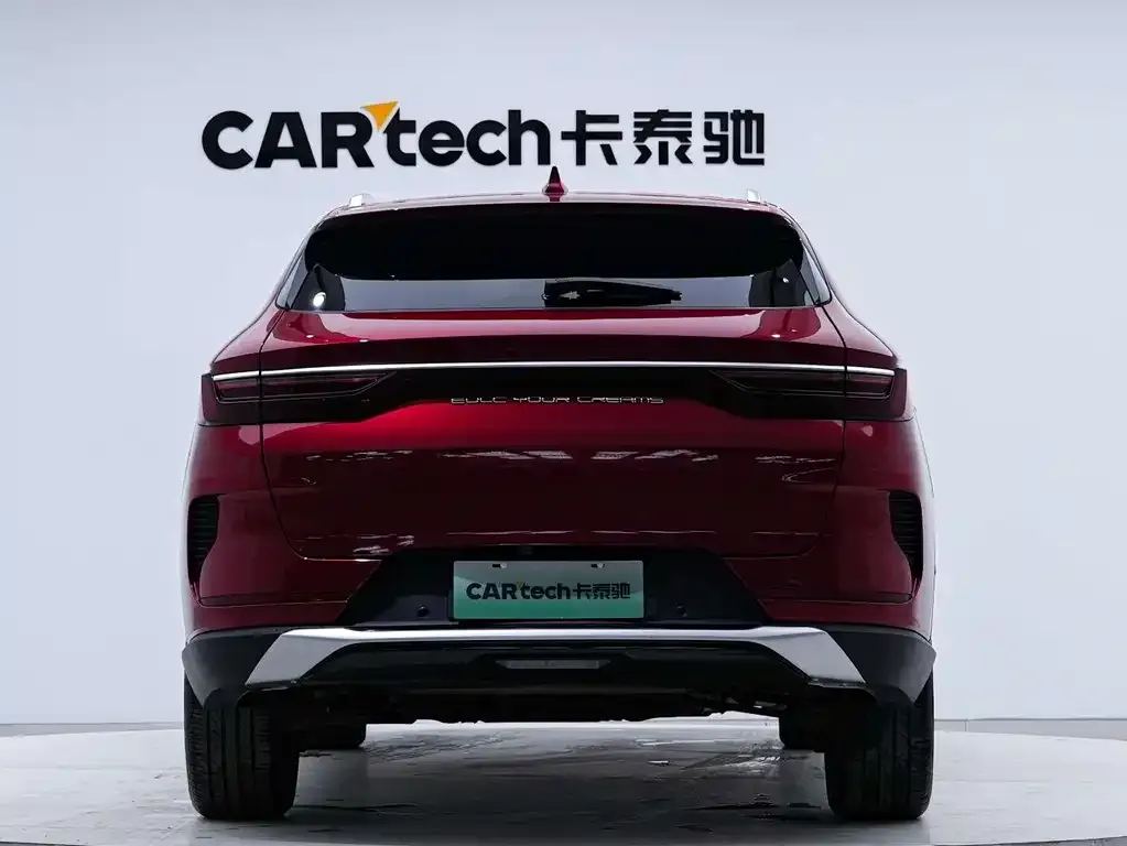 BYD PLUS New Energy 2021 из CN, фото 4