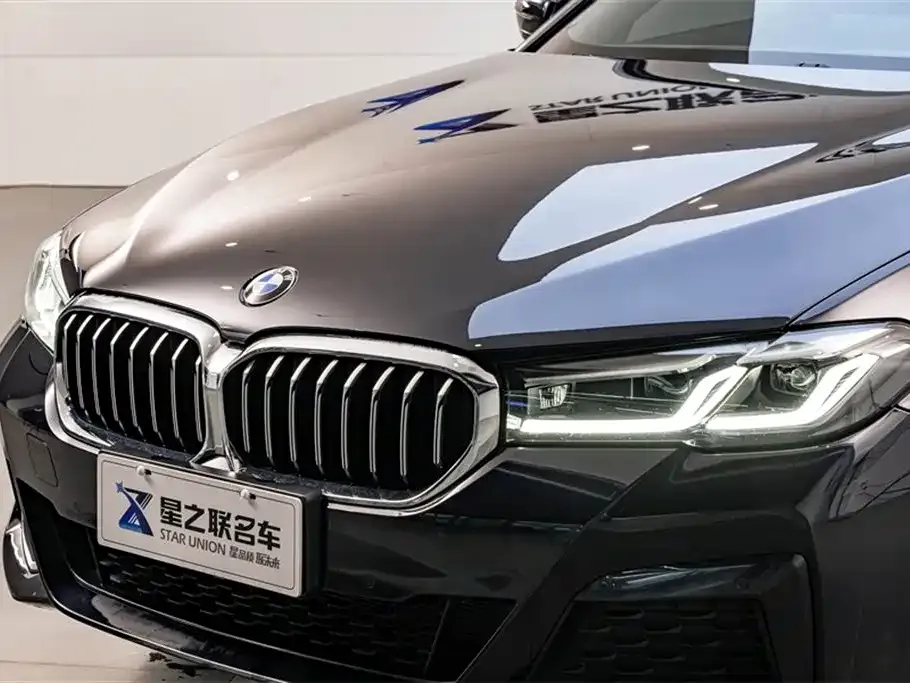 BMW 5 Series 2023 из CN, фото 7