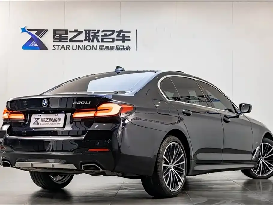 BMW 5 Series 2023 из CN, фото 5