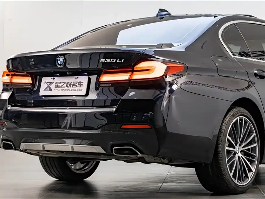 BMW 5 Series 2023 из CN, фото 10