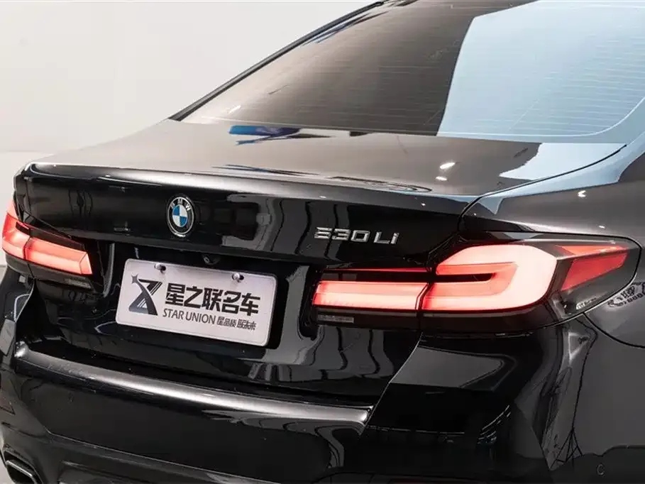 BMW 5 Series 2023 из CN, фото 4