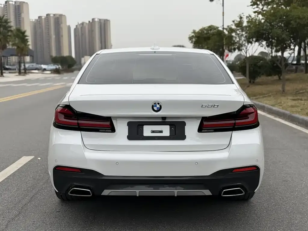 BMW 5 Series 2023 из CN, фото 2