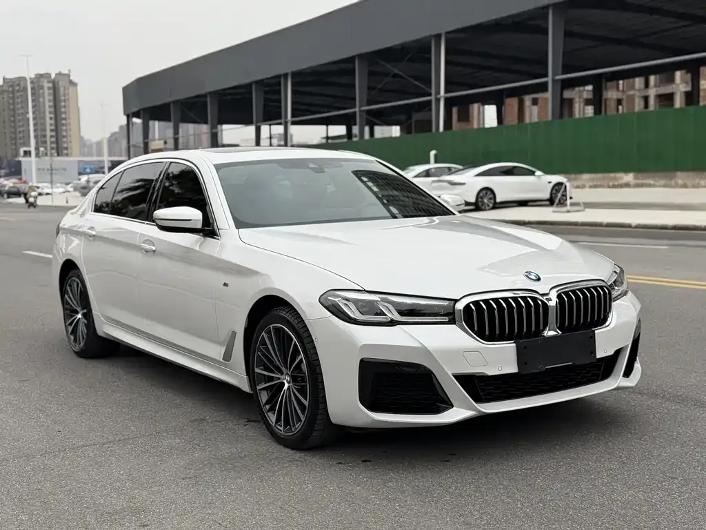 BMW 5 Series 2023 из CN, фото 3