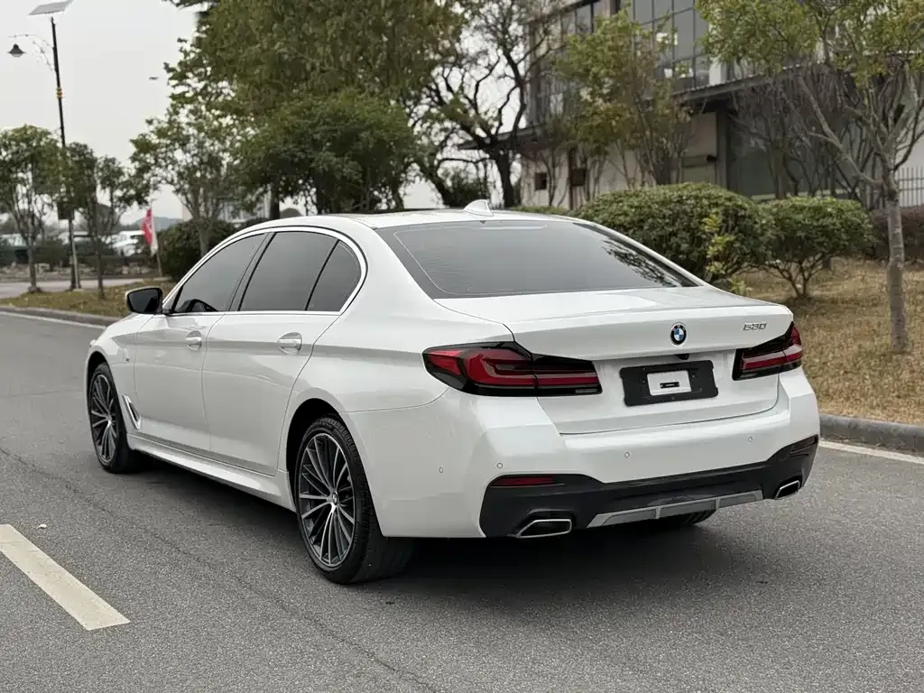 BMW 5 Series 2023 из CN, фото 4