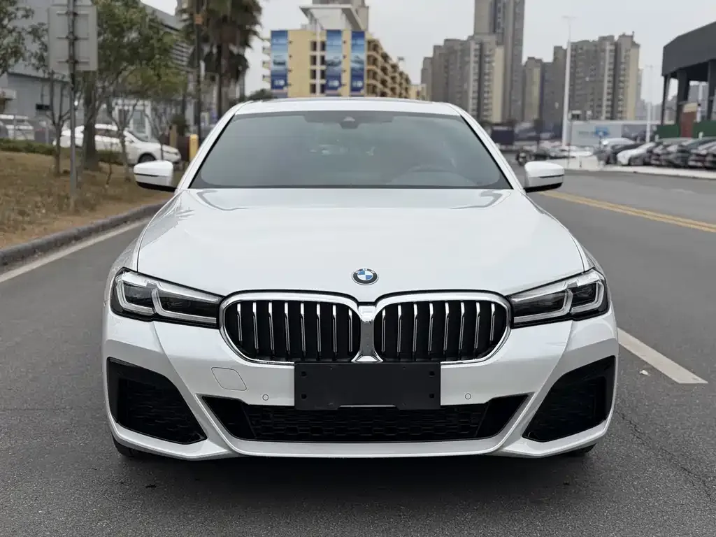BMW 5 Series 2023 из CN, фото 6
