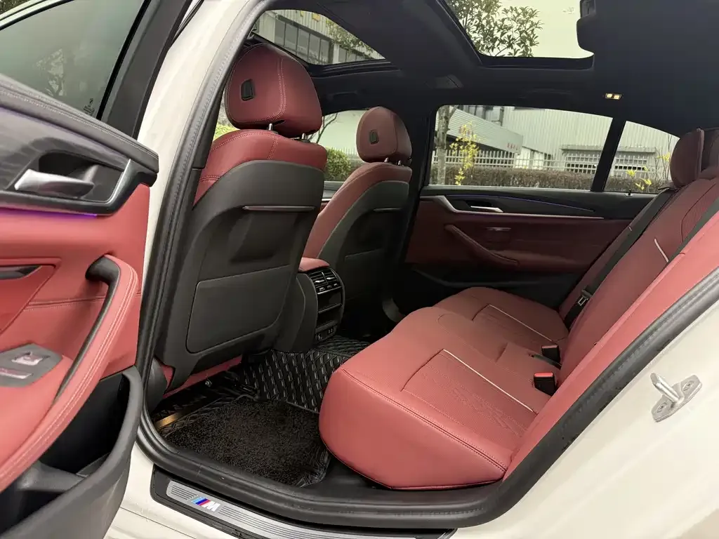 BMW 5 Series 2023 из CN, фото 7