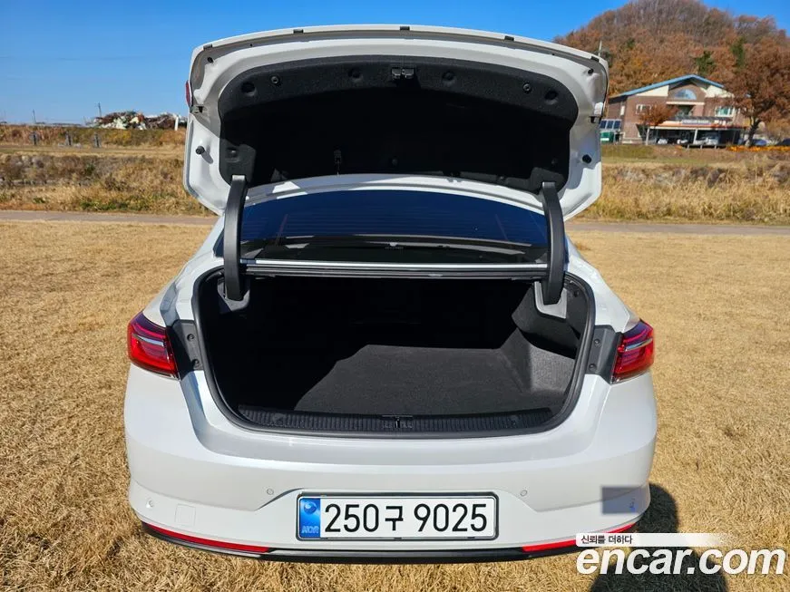 Renault Korea (Samsung) SM6 2021 из KR, фото 3