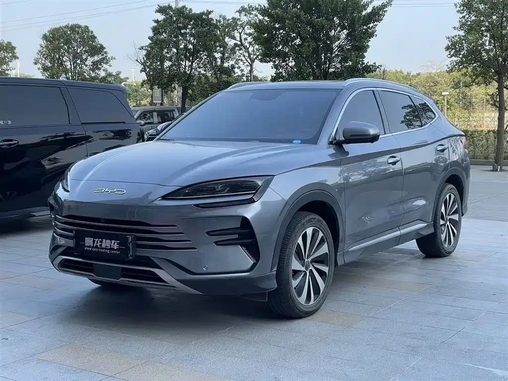 BYD PLUS New Energy — фото 1