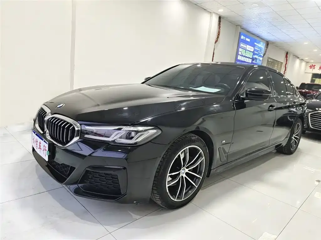 BMW 5 Series (Import) 2021 из CN, фото 1