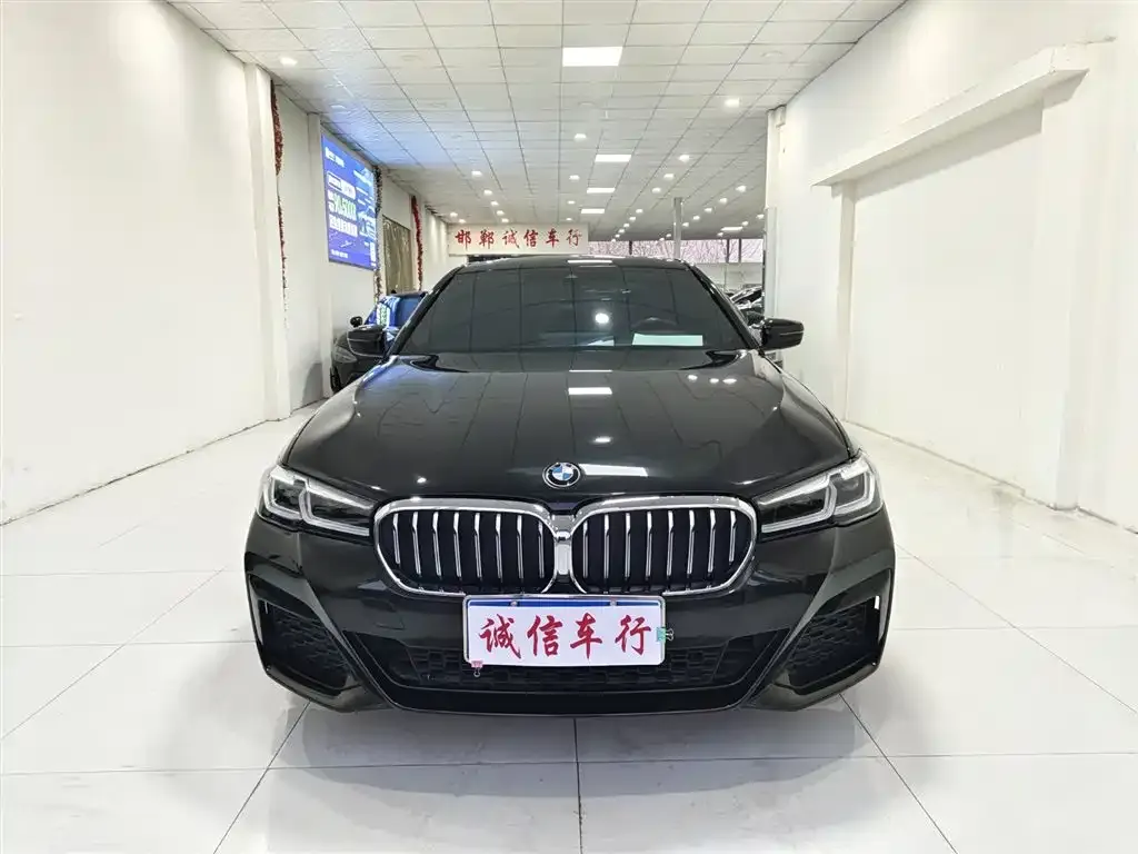BMW 5 Series (Import) 2021 из CN, фото 2