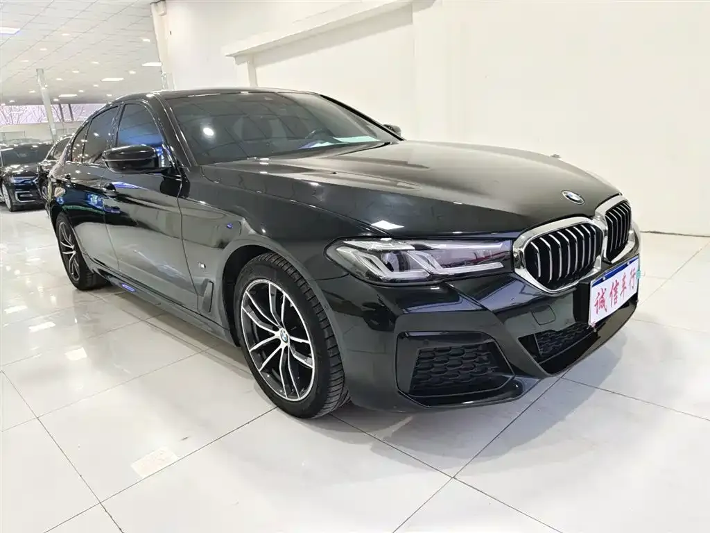 BMW 5 Series (Import) 2021 из CN, фото 3