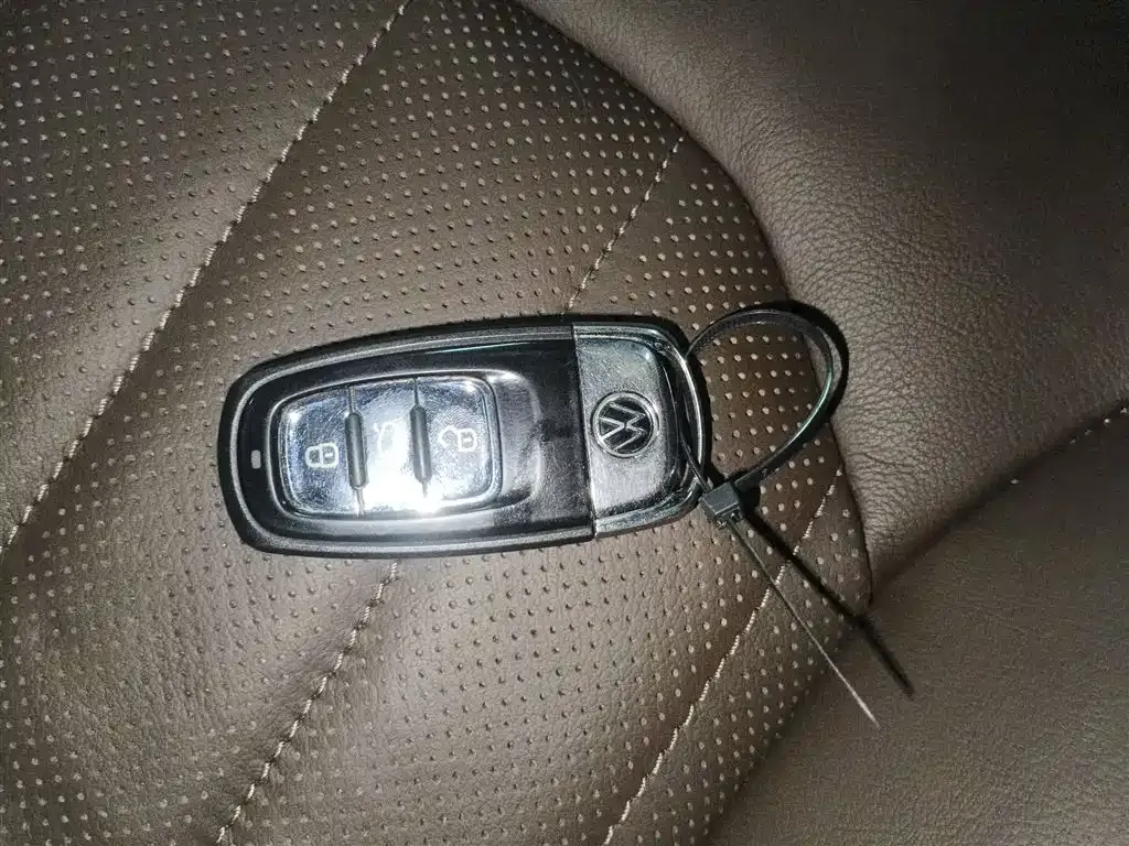 Volkswagen Phideon 2022 из CN, фото 10