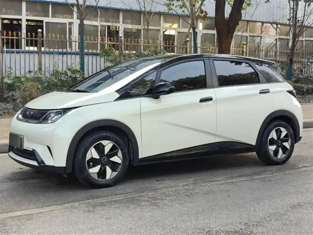 BYD Dolphin 2025 из CN, фото 1